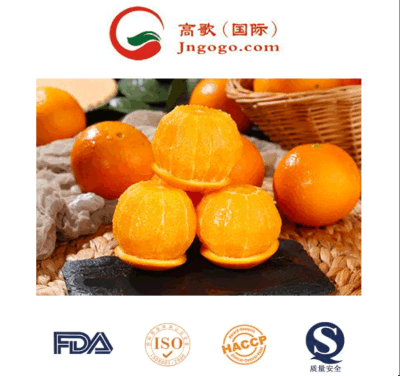 Naranja mandarín chino premium - fresco y suculento