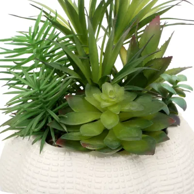 Hot Sale plantas artificiales suculentas con macetas pequeñas para el hogar Decoración de la oficina