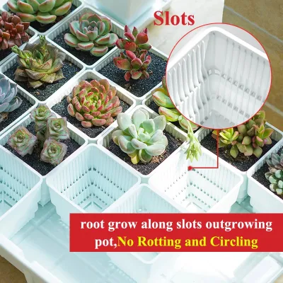 Meshpot 2 a 4 pulgadas cuadrados Succulents Plásticos macetas de maceta con Bandeja Set, Vivero Pot Cactus planta Pot Garden Pot