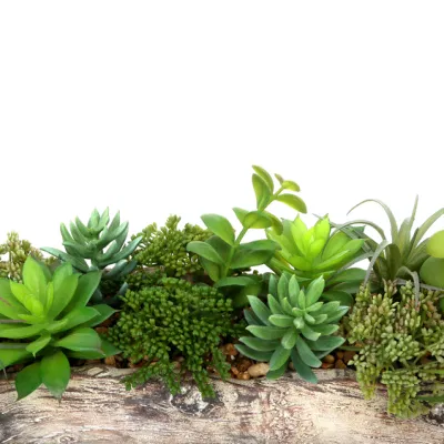 Macetas de plantas suculentas con macetas de cerámica para plantas artificiales Interiores Jardín de flores