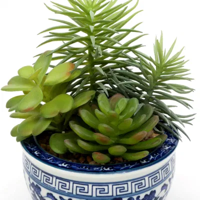 Jardín suministros Cemento Artificial Succulent a medida sembradora de flores de fake decorativo