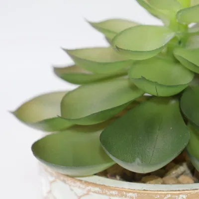 La suculenta Macetas jardineras maceta bonsái pequeño artificial con maceta de cerámica de suculentas