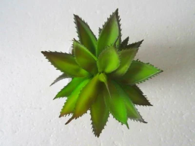 Bonsai pequeño de la gallina Succulents planta Artificial plantas Potted