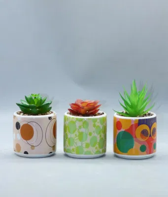 Juego de 3 adornos de mesa de Succulento artificial Potted, Suculente Faux en Cuna de cerámica