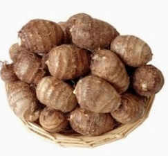 Delicioso Taro fresco con calidad premium