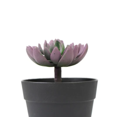 Casa en el interior decoración personalizada Mini artificiales plantas suculentas para dormitorios