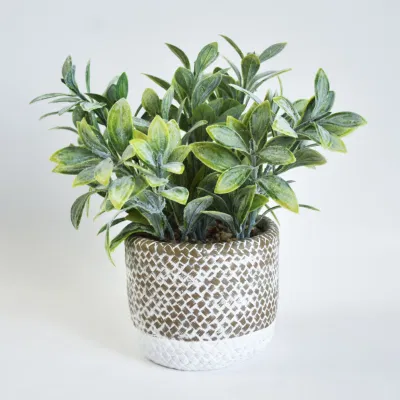 La decoración de oficina Mini Desktop Faux plástico artificiales plantas suculentas de cerámica bote