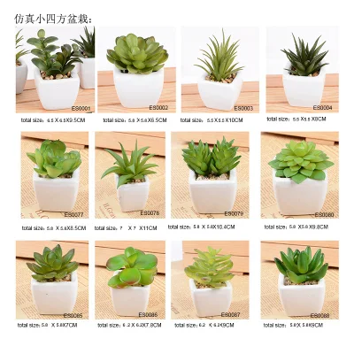 Mini Evergreen Artificial Bonsai Faux Succulent para decoración de Hogar