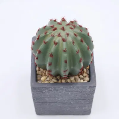 Árbol de hoja artificial de plástico de Bonsai Bonsai viven las plantas de interior plantas Mini Artificial