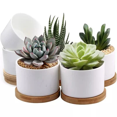 Cerámica de 3,15 pulgadas olla Succulent olla cerámica