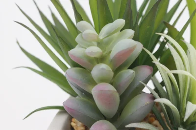 Ornamental Evergreen decoración de escritorio interior planta sucesora artificial pequeña Con Pot