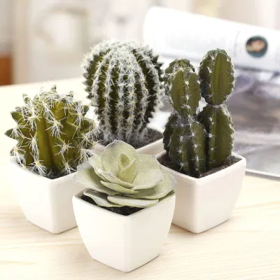 La decoración de 5 pulgadas mini planta Artificial variadas plantas de cactus Cactus Faux surtido en el cuadrado blanco Potes, Set de 4 o puede mezclar por sí mismo para la decoración del hogar
