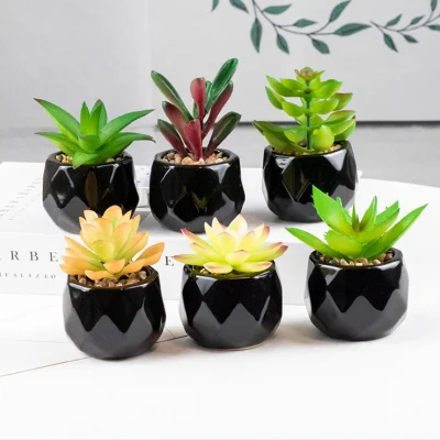 Mini plantas suculentas artificiales geométricos en color negro de la sembradora ollas de cerámica