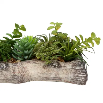 Macetas de plantas suculentas con macetas de cerámica para plantas artificiales Interiores Jardín de flores