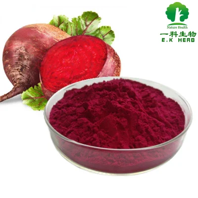 E. K Herb no OGM materia prima remolacha Roja E3 polvo de remolacha 0,3% - 5% Betanin extracto de raíz de remolacha