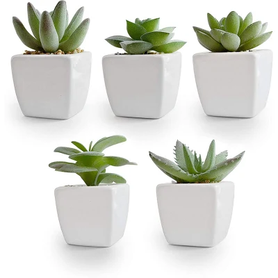 Juego de 5 plantas suculentas Artificial en vasijas de cerámica - surtido de Fake plantas suculentas - Mini plantas suculentas - Pequeñas plantas suculentas de la Decoración