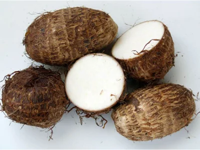 GoGo Marca registrada Premium Taro Roots