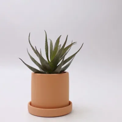 Mayorista en acciones Home Decor Nordic Pots plantas Plásticas Succulents Bonsai