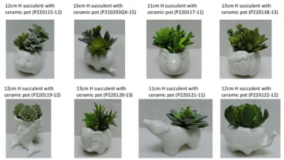 Forma de Animales Bonsai suculentos 11cm.