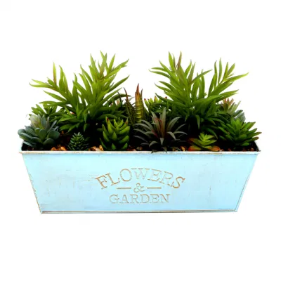 Fabricante Mayoreo decoración del Hogar Mini Cactus Artificial plantas suculentas con Olla