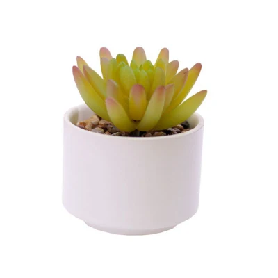 Plantas artificiales flores en cerámica Mini suculento bote
