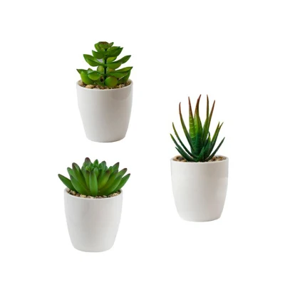 Juego de 3 plantas suculentas Artificial Desk Faux suculentas en Potes