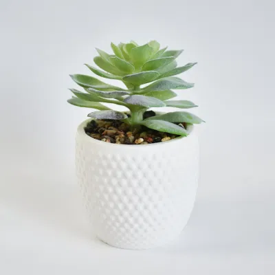 Artificial de alta calidad de las plantas de plástico Mini Jarrón con planta en maceta de Faux suculentos tropical para el hogar Jardín