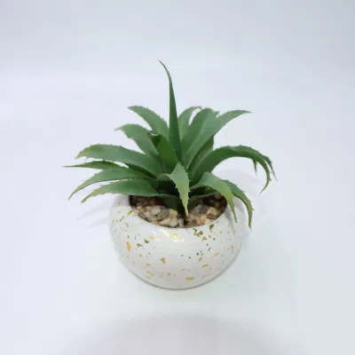 Verdadero toque de color verde flor artificial de las plantas suculentas plantas suculentas para decoración