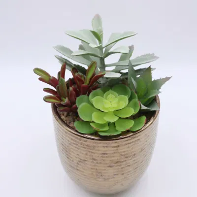 Mezcla Artificial de Alta calidad varios de Succulent para decoración casera