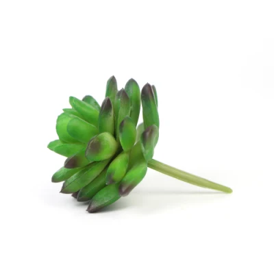 Nuevo diseño decorativo personalizado pequeña Mini suculentos macetas con plantas para la mesa de café