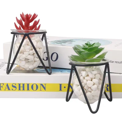 Top Seller Real Touch plástico conservado plantas artificiales suculentas Plantas tropicales