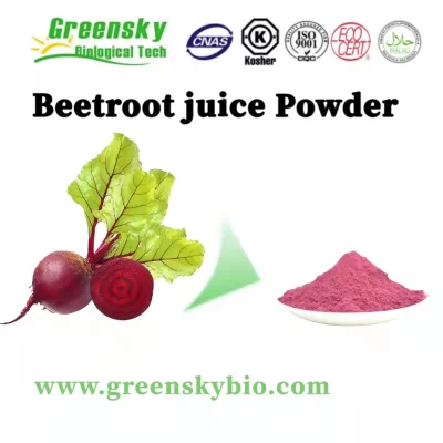 100% Natural puro zumo de remolacha Beta vulgaris L. rojo purpúreo de pigmento en polvo y colorantes aditivos alimentarios