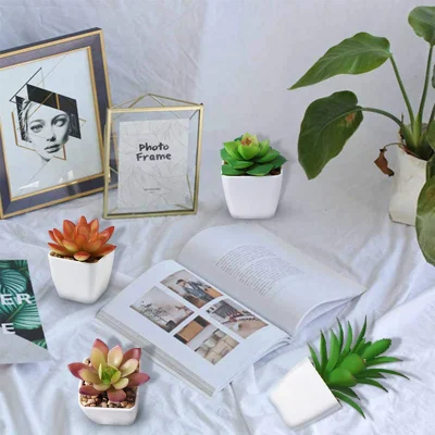 Las plantas suculentas artificiales, el conjunto de 4 pequeñas plantas falsas Mini macetas con plantas suculentas con ollas de cerámica blanca