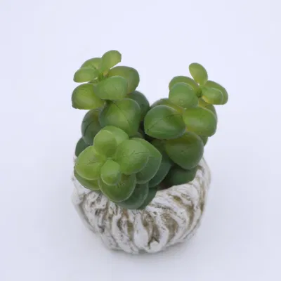 Real Touch Green Trees Potted Artificial Bonsai pequeños Suculents para Decoración del hogar