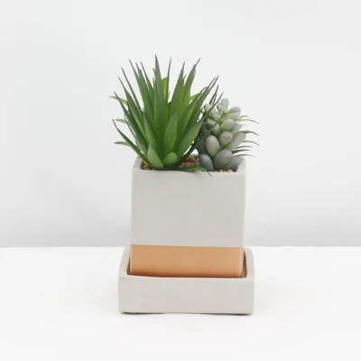 Ornamental Evergreen decoración de escritorio interior planta sucesora artificial pequeña Con Pot