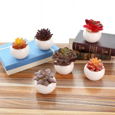 Plantas suculentas artificiales con decoración de cerámica para el hogar