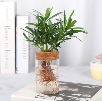 Suministros de fábrica barata de altura del cilindro de Casa de los países nórdicos decoraciones modernas de la boda claro Vidrio de borosilicato Flor florero de vidrio con corcho