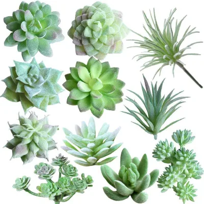11 PCS Mini suculentas Artificial Picks Unpotted Faux suculento surtido en acudieron verde en diferentes tipos diferentes tamaños de plantas suculentas Echeveria Agave
