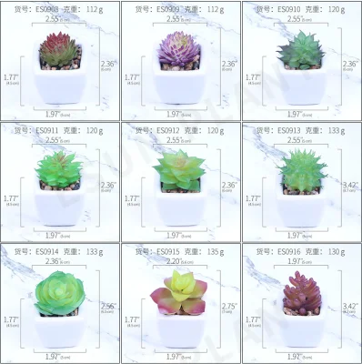 Mini Evergreen Artificial Bonsai Faux Succulent para decoración de Hogar
