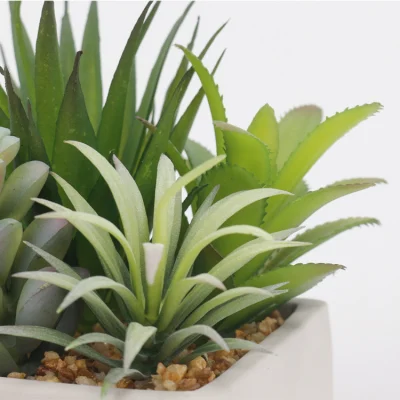 Ornamental Evergreen decoración de escritorio interior planta sucesora artificial pequeña Con Pot