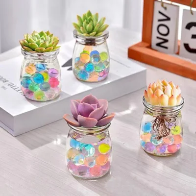 Plantas suculentas Hidroponic Clear Bud Vases Mini floreros de vidrio Dormitorio Oficina Casa decoración de mesa