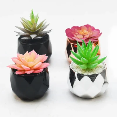 La creatividad las plantas suculentas Mini Maceta de cerámica Jardín Decoracion artesanal Artificial