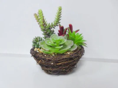 Bonsai pequeño de la gallina Succulents planta Artificial plantas Potted