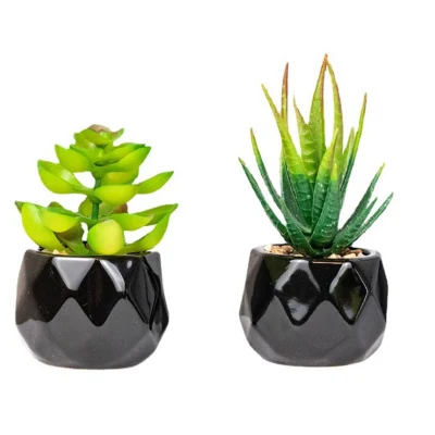 Mini plantas suculentas artificiales geométricos en color negro de la sembradora ollas de cerámica