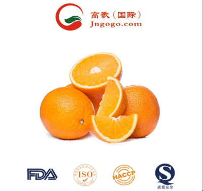 Naranjas de mandarín fresco de calidad superior (15kg-64-72/56 cartón)