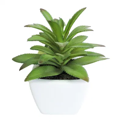Plantas suculentas en miniatura de hoja de piña artificial.