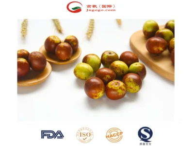 Cosecha Premium de Jujube de invierno de China