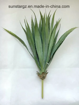 Suculentas y Plantas artificiales de pulverización de PVC para la decoración del hogar (50224)
