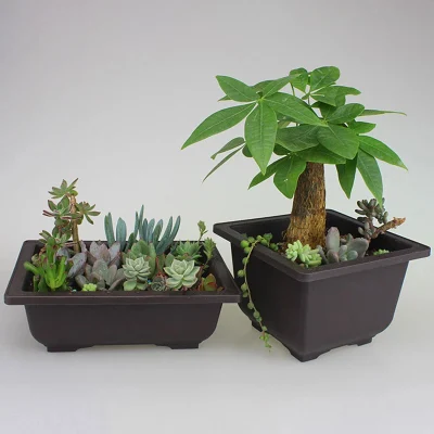 Las macetas de plástico estilo retro Simulational arena de color púrpura Flor MACETAS BONSAI Tree suculentas plantas macetas Home Jardín