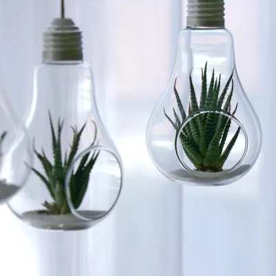 Comercio al por mayor nueva y creativa diseño transparente cristal de la lámpara de hidropónico de plantas suculentas Jarrón de flores